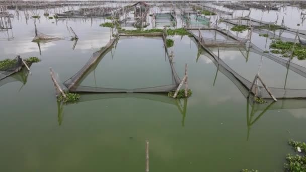 Luchtfoto Van Traditionele Drijvende Visvijver Moeras Indonesië — Stockvideo