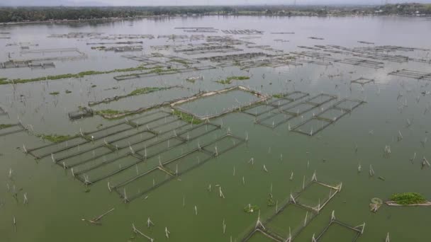 Breed Zicht Vanuit Lucht Traditionele Drijvende Visvijver Moeras Indonesië — Stockvideo