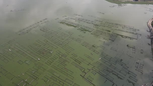 インドネシアの沼に浮かぶ伝統的な魚池の広い空中ビュー — ストック動画
