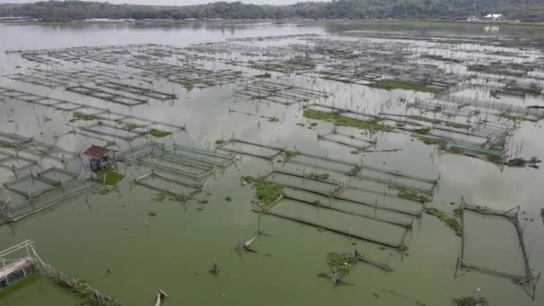 Breed Zicht Vanuit Lucht Traditionele Drijvende Visvijver Moeras Indonesië — Stockvideo