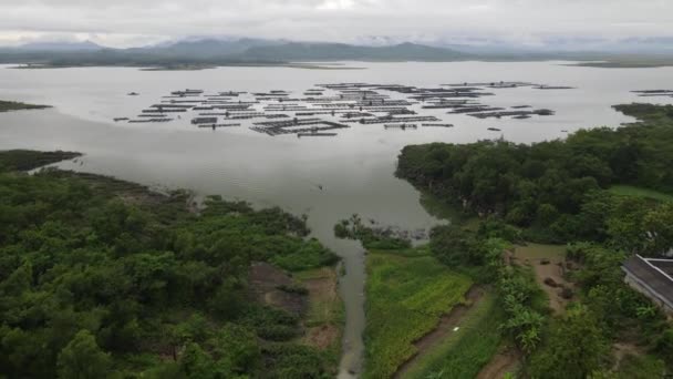 Luftaufnahme Des Traditionellen Schwimmenden Fischteichs Auf Dem See Indonesien — Stockvideo