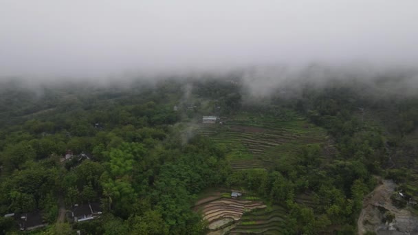 Luchtfoto Drone Zicht Nevel Tropisch Regenwoud Vallei Indonesië — Stockvideo