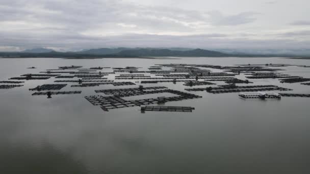 印度尼西亚湖上传统浮游鱼塘的空中景观 — 图库视频影像