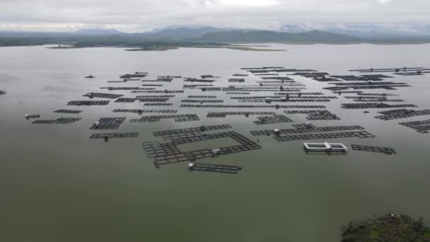 Vista Aérea Del Tradicional Estanque Flotante Peces Lago Indonesia — Vídeo de stock