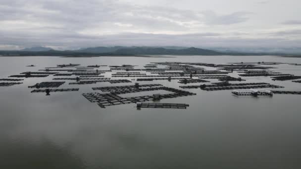 Luftaufnahme Des Traditionellen Schwimmenden Fischteichs Auf Dem See Indonesien — Stockvideo