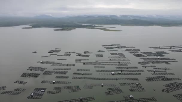 Vista Aérea Lagoa Peixe Flutuante Tradicional Lago Indonésia — Vídeo de Stock