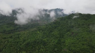Pirinç tarlasının ortasındaki kaya dağı uçurumunun insansız hava aracı görüntüsü.