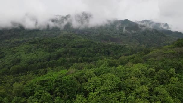 Letecký Pohled Mlžný Tropický Deštný Prales Údolí Indonésie — Stock video