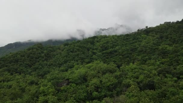 Αεροφωτογραφία Drone Του Βράχου Βουνό Γκρεμό Στη Μέση Του Ορυζώνα — Αρχείο Βίντεο