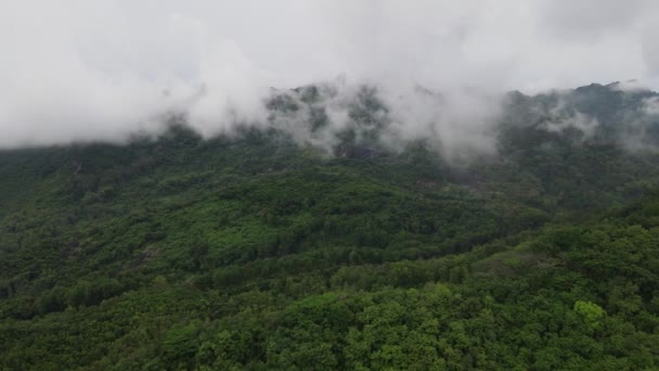 田んぼの真ん中にある岩の山の崖の空中ドローンビュー — ストック動画