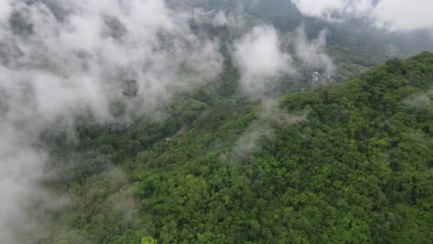 Veduta Aerea Drone Roccia Scogliera Montagna Nel Mezzo Del Campo — Video Stock