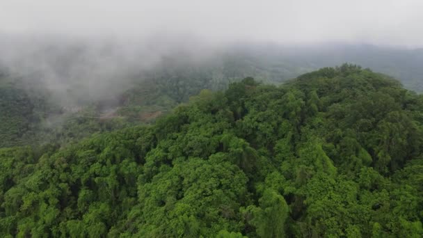 Luchtfoto Drone Uitzicht Rots Bergklif Het Midden Van Het Rijstveld — Stockvideo