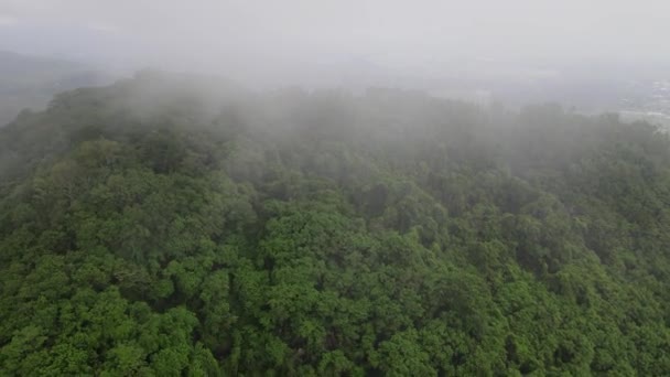Pirinç Tarlasının Ortasındaki Kaya Dağı Uçurumunun Insansız Hava Aracı Görüntüsü — Stok video