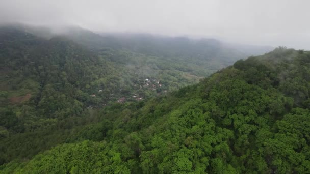 Αεροφωτογραφία Drone Του Βράχου Βουνό Γκρεμό Στη Μέση Του Ορυζώνα — Αρχείο Βίντεο