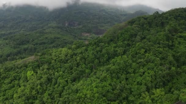 Time Lapse Luchtfoto Drone Uitzicht Mist Tropisch Regenwoud Vallei Indonesië — Stockvideo
