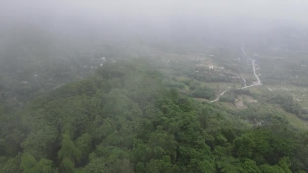 Aerial Drone View Rock Mountain Cliff Middle Rice Field — Stock Video