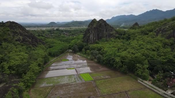 Pemandangan Drone Udara Tebing Gunung Batu Tengah Sawah — Stok Video
