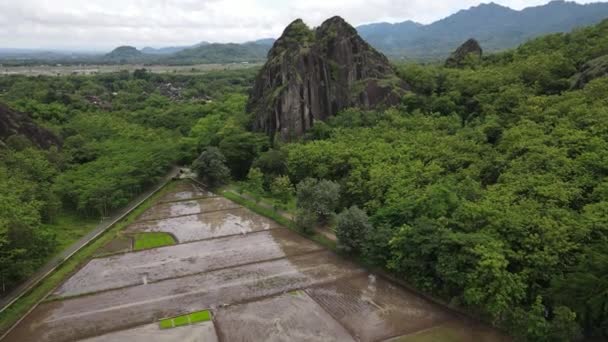 Luchtfoto Drone Uitzicht Rots Bergklif Het Midden Van Het Rijstveld — Stockvideo