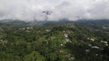 Endonezya 'daki teras desenli sebze tarlasının havadan görünüşü