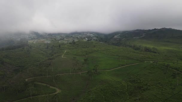 계단식논 인도네시아의 채소밭을 공중에서 — 비디오