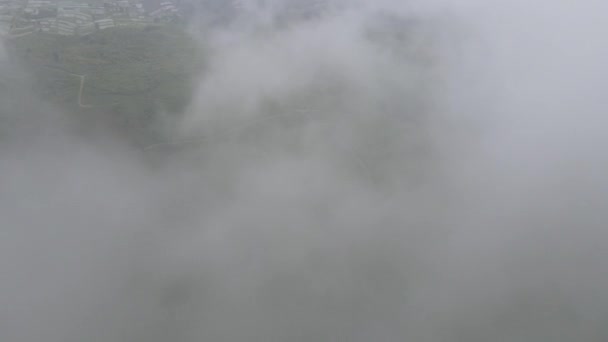 Aerial View Vegetable Field Indonesia Terrace Pattern — Stock Video