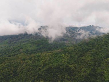 Vadi, Endonezya 'daki tropikal yağmur ormanlarının hava aracı görüntüsü.