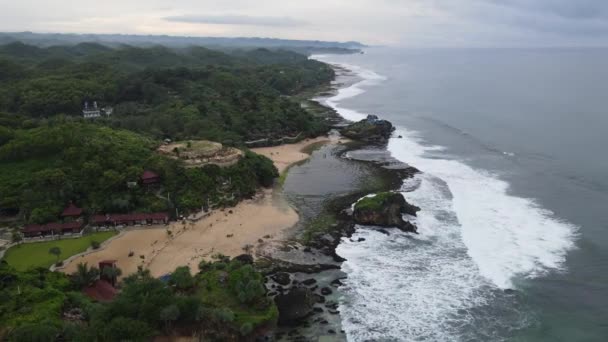 Αεροφωτογραφία Της Τροπικής Παραλίας Στο Gunung Kidul Ινδονησία Πράσινο Και — Αρχείο Βίντεο