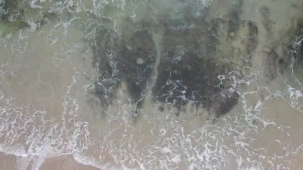 Top Aerial View Giant Ocean Waves Crashing Foaming Coral Beach — Stock Video