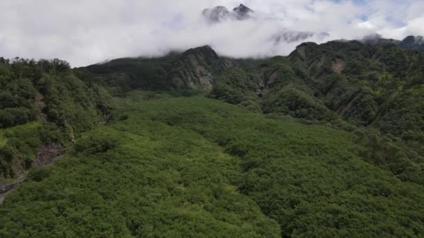 Vista Aérea Volar Bosque Tropical Montaña Valle Indonesia — Vídeo de stock