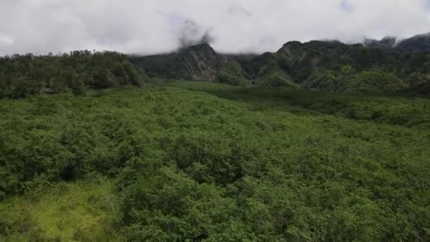 Endonezya Daki Merapi Dağı Havacılık Vadisi — Stok video