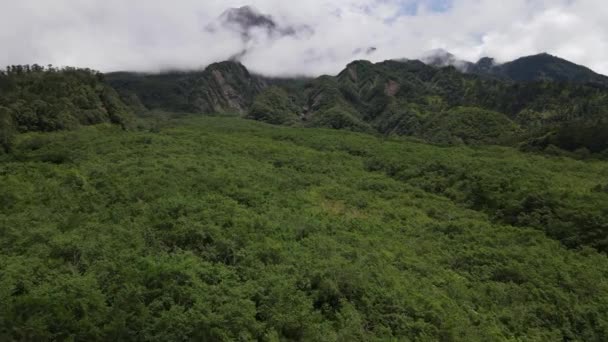 Luchtfoto Van Vliegen Een Tropisch Bos Berg Dal Indonesië — Stockvideo