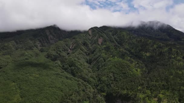 Veduta Aerea Volare Una Foresta Tropicale Montagna Valle Indonesia — Video Stock