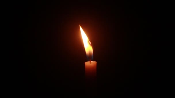 Candle Light Burning Brightly Black Background — ストック動画