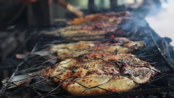 Cooking Fish Roasting Marinated Fish Barbecue Grill — Video