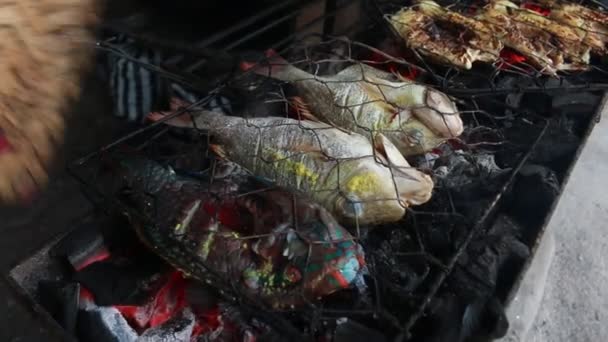 Cooking Fish Roasting Marinated Fish Barbecue Grill — Stok Video