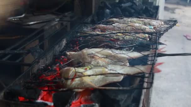Cooking Fish Roasting Marinated Fish Barbecue Grill — Video