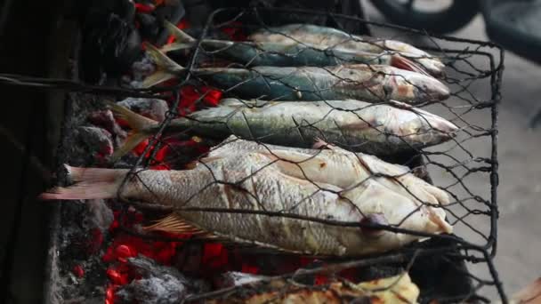 Cooking Fish Roasting Marinated Fish Barbecue Grill — Vídeo de stock