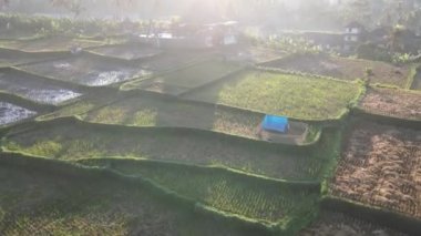Sunrise over hillside with long sun rays pass through valley in village Bali, Indonesia