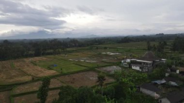 Aerial view of morning in rice field Bali in traditional village