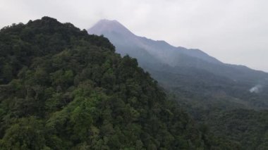 Endonezya 'daki Merapi Dağı' nın çevresindeki tropik ormanların havadan görünüşü. 