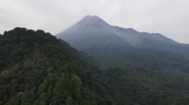 Endonezya 'daki Merapi Dağı' nın çevresindeki tropik ormanların havadan görünüşü. 