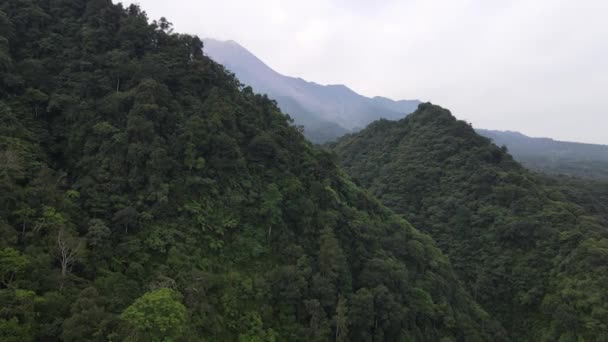 Vista Aérea Montaña Merapi Indonesia Con Bosque Tropical Alrededor — Vídeos de Stock