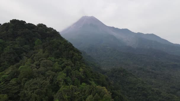 Flygfoto Över Merapi Mountain Indonesien Med Tropisk Skog Runt Den — Stockvideo