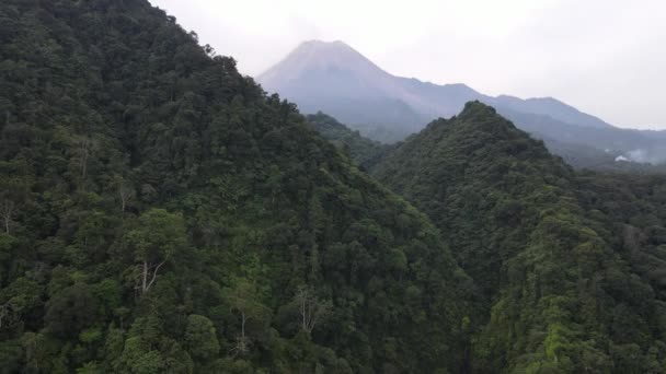 Vista Aérea Montaña Merapi Indonesia Con Bosque Tropical Alrededor — Vídeos de Stock