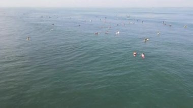 Aerial view of people surfing on waves with surfboards when vacation in Bali, Indonesia .