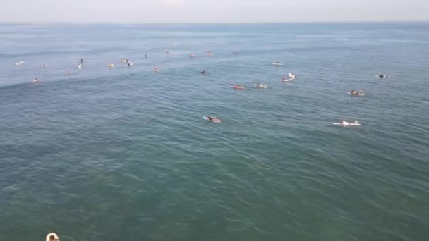 Aerial View People Surfing Waves Surfboards Vacation Bali Indonesia — Vídeo de Stock
