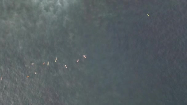인도네시아 발리의 바다에서 파도타기를 즐기는 모습을 공중에서 내려다본 — 비디오
