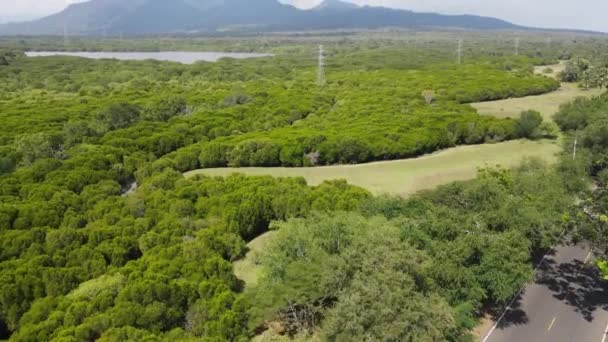 Aerial View West Bali National Park Indonesia — Vídeos de Stock