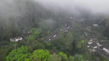 Endonezya köyündeki sisli pirinç tarlası ve ormanın havadan görünüşü