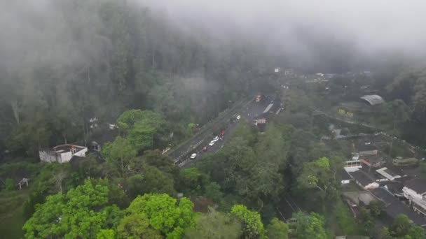 インドネシアの村の霧田と森の空中風景 — ストック動画